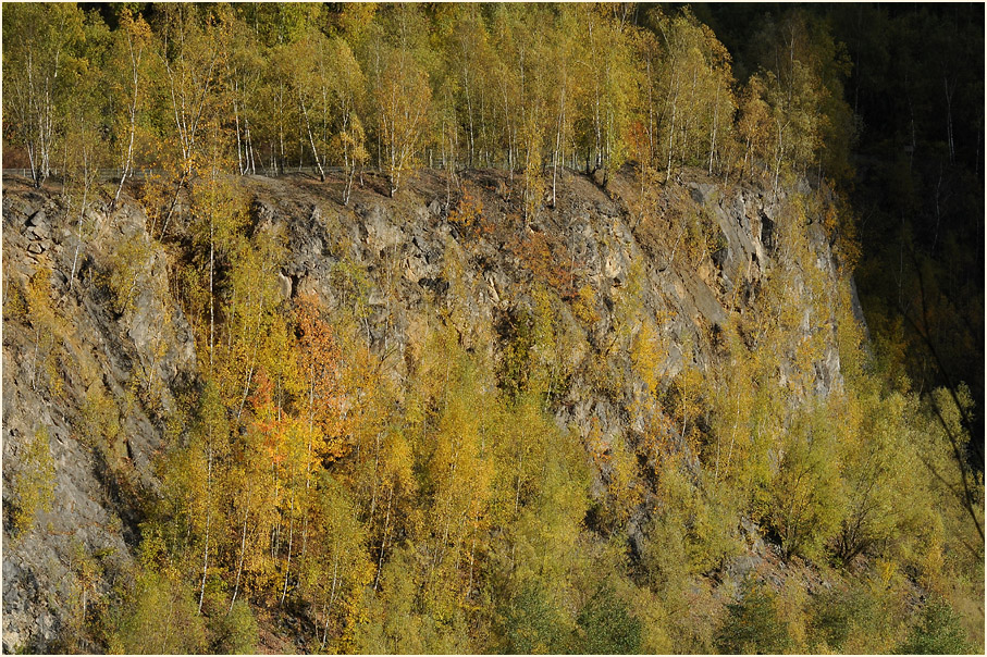 Herbst in Grube 7 in Haan Gruiten