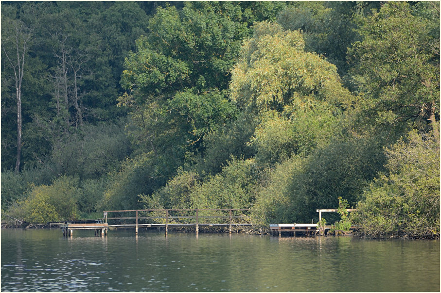 Krickenbecker Seen, Naturpark Maas-Schwalm-Nette