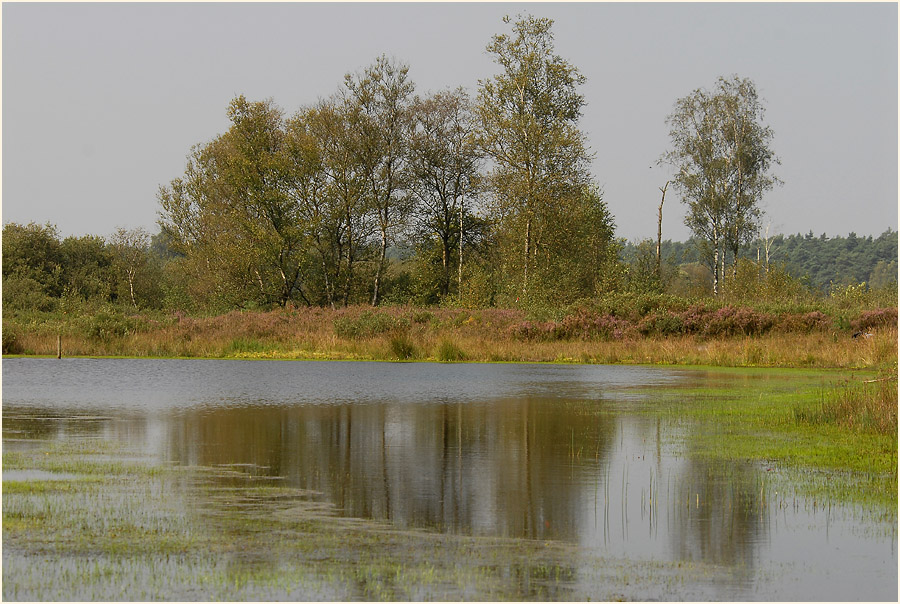 Der Meinweg, Naturpark Maas-Schwalm-Nette