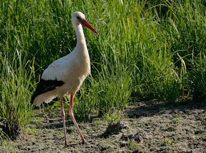 vergr&ouml;&szlig;ern