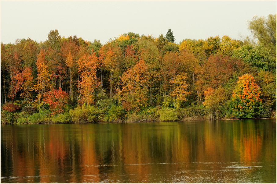 Herbst am Unterbacher See